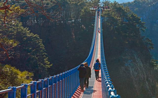 Suspension Bridge in Gangwon