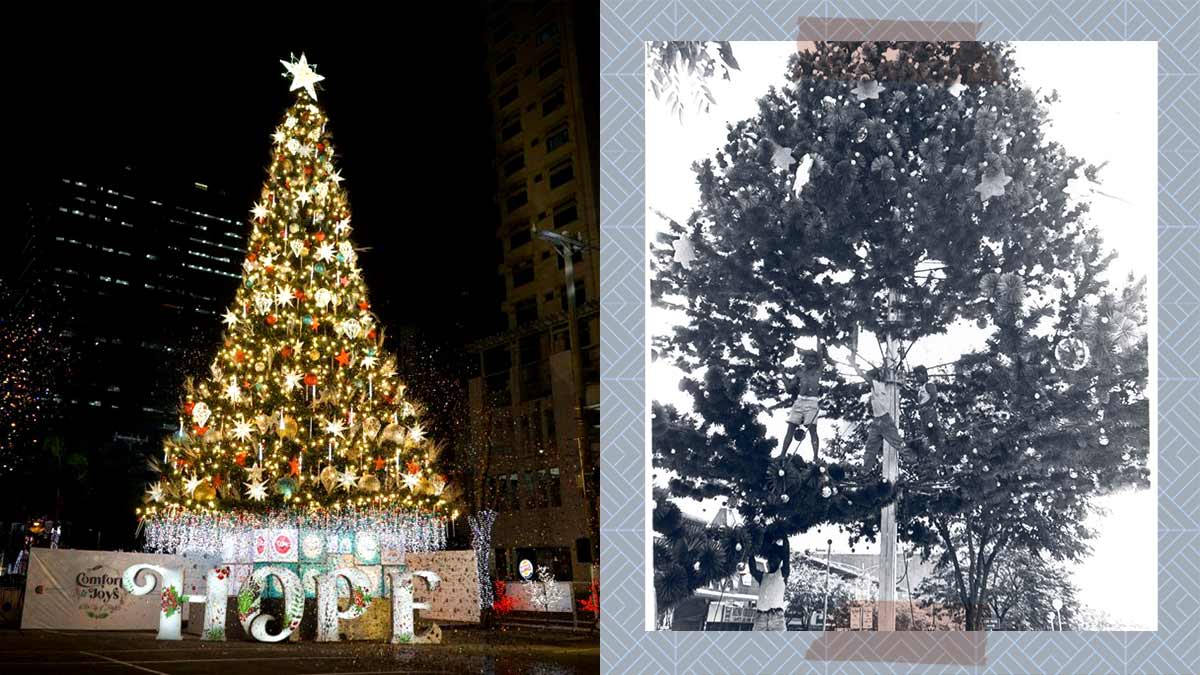 araneta cubao christmas tree history