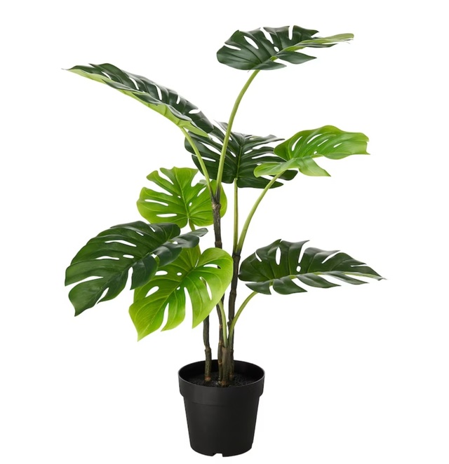 FEJKA
Artificial potted plant, indoor/outdoor monstera, 19 cm (7 ½ 