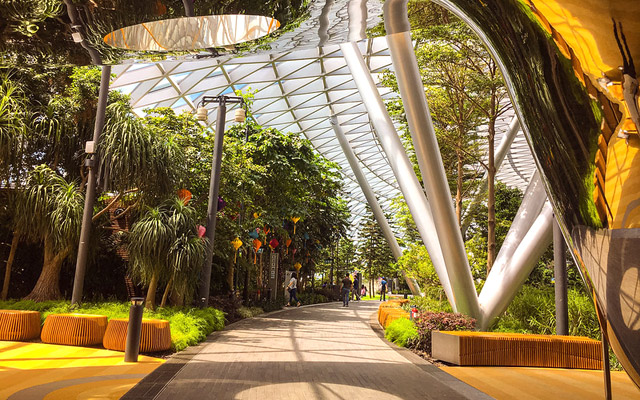 singapore canopy park