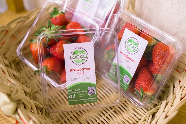 The Locale Farm, strawberries closeup