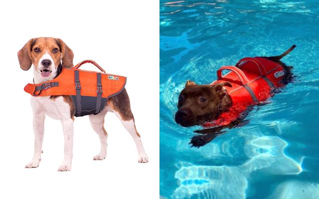 Pet Travel Essentials: Life Vest