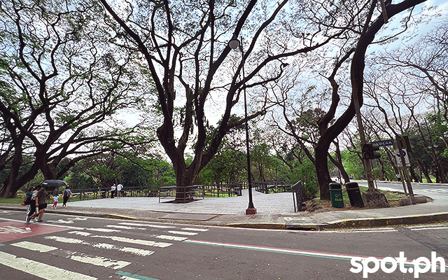 up diliman roces street