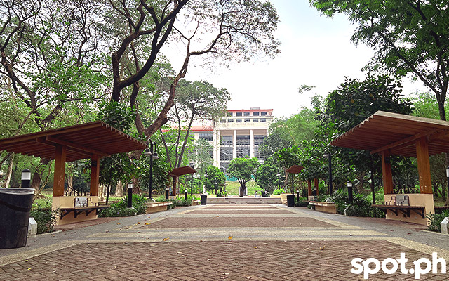 up diliman main library pavilion