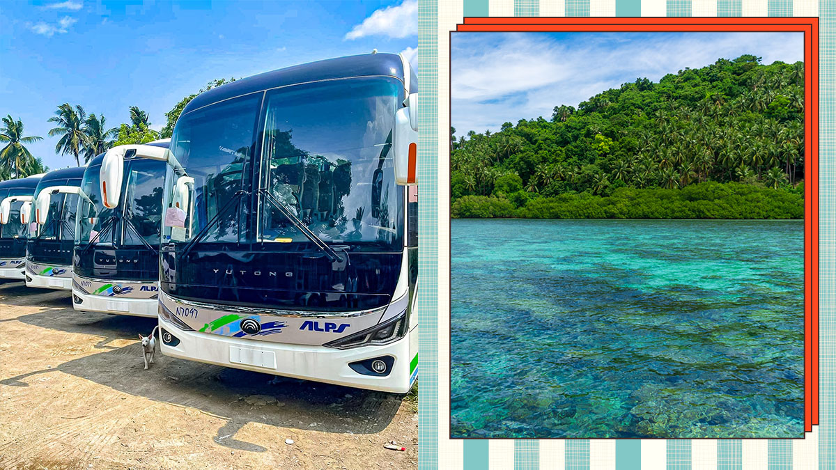 day trip bus to bicol