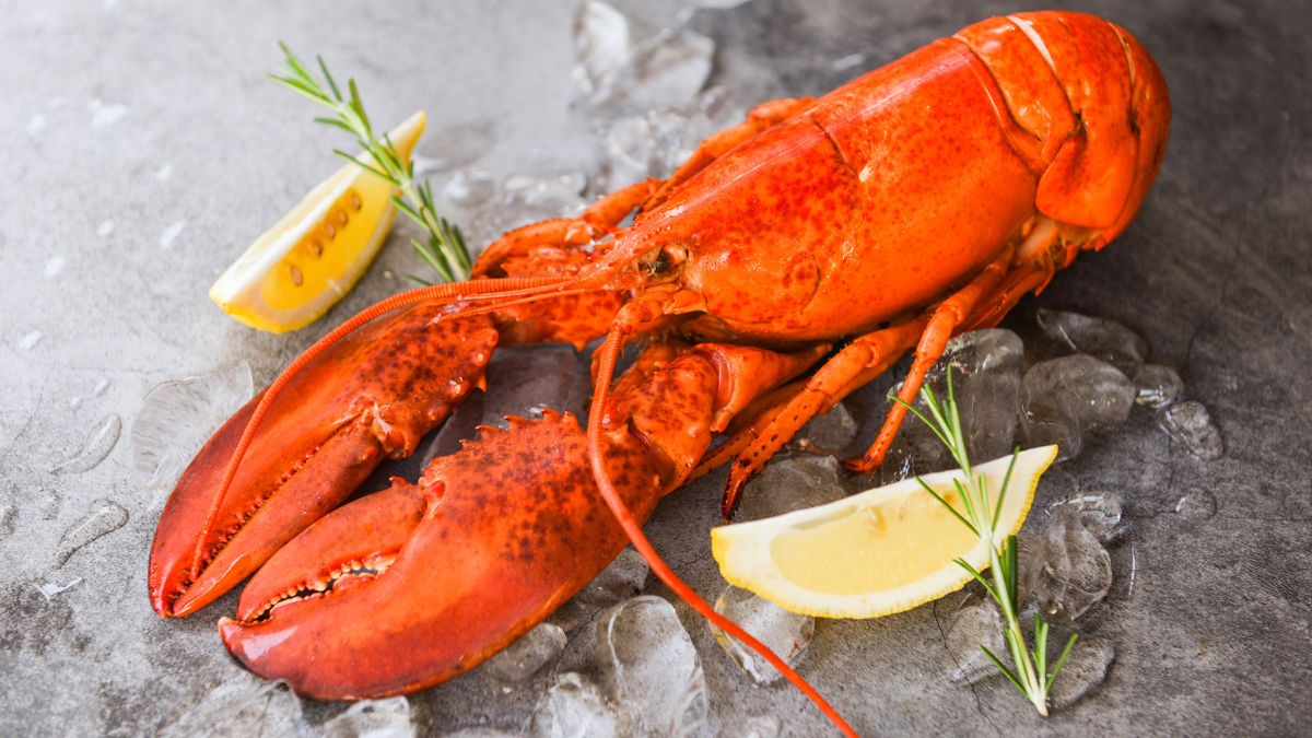 Okada Manila: New Lobster Dinner Medley Buffet