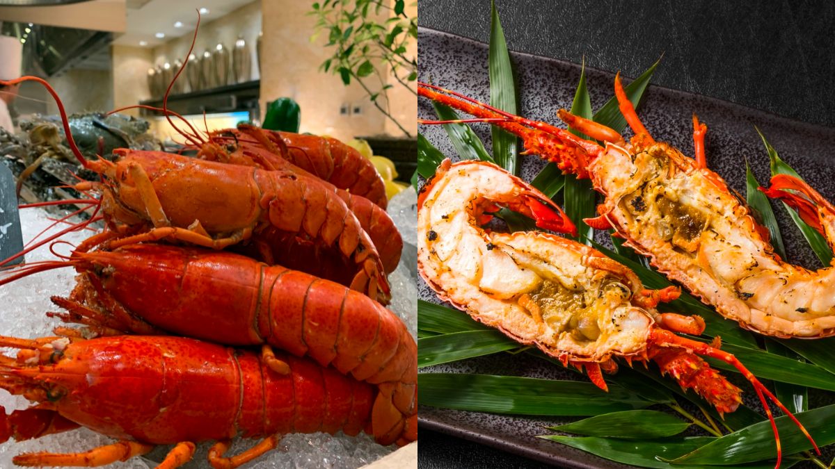 Solaire Resort Fresh Restaurant Unlimited Lobster