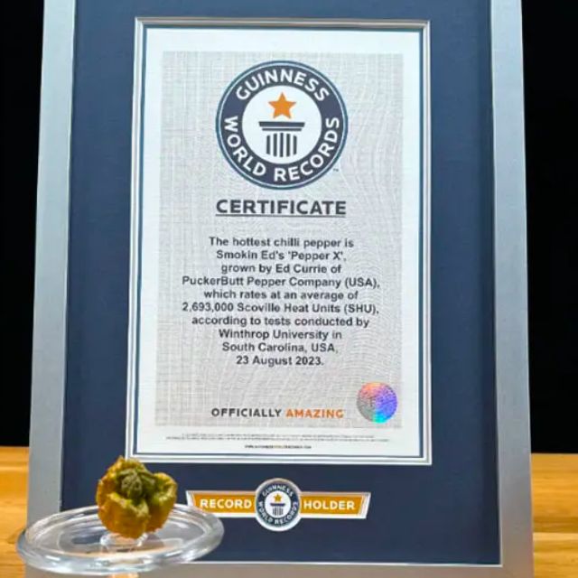 Le Guinness World Records désigne le Pepper X comme le nouveau