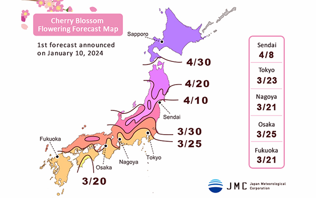 Japan Cherry Blossom Schedule for 2024