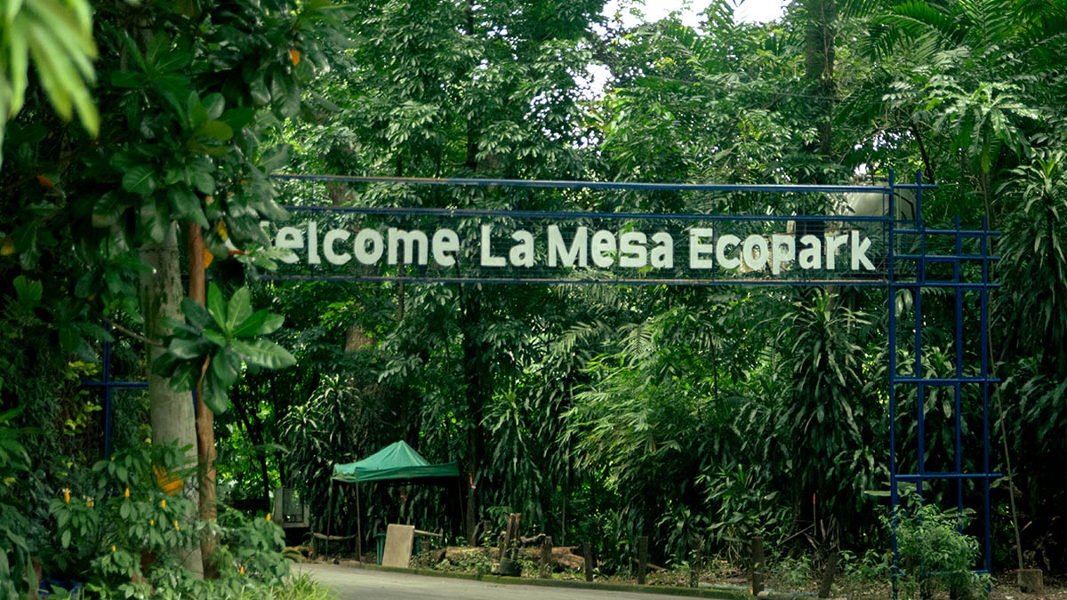 Activities To Do in the Reopened La Mesa Ecopark