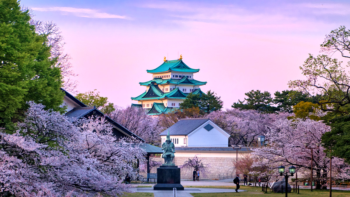 Japan Cherry Blossom Season 2025 When and Where to Go