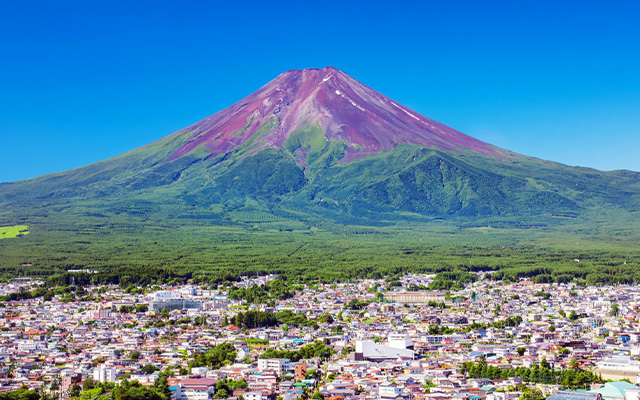 Mt. Fuji Summer View