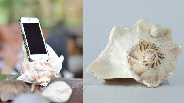 Conch shell sound mp3 free download Conch shell sound mp3 free download