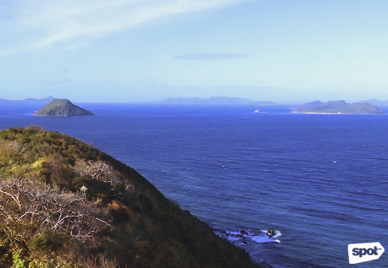 Flower Island