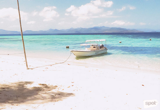 Flower Island