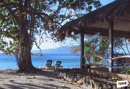 Flower Island