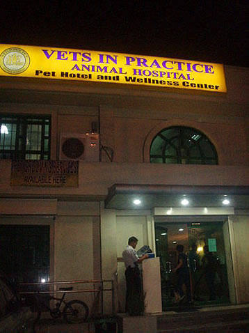 24 Hours Veterinary Clinic In Alabang 2025