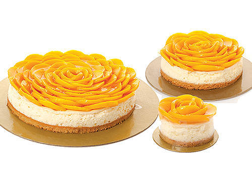 Featured image of post Steps to Prepare Contis Cake Mango Cheesecake