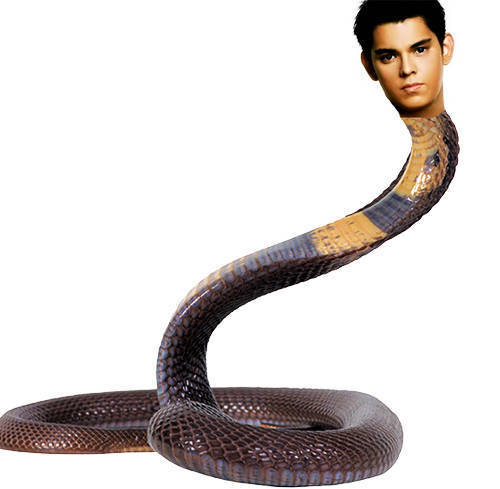 Мужчина змей в браке. Человек змей. Мужик и змея.