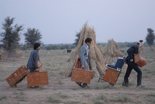 My Wes Anderson Inspired Luggage - Perfect for those getaways on an express  train or tropical paradise! : r/wesanderson