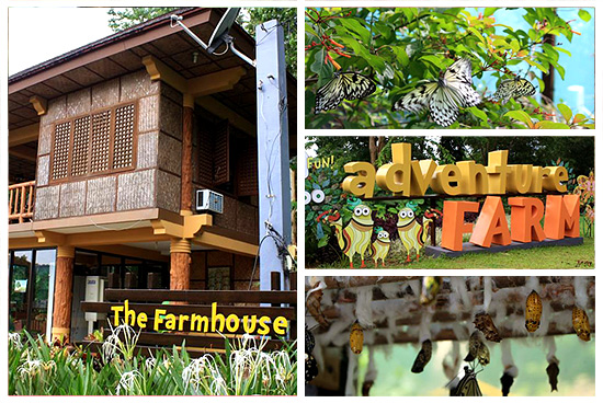 Adventure 2025 farm timberland