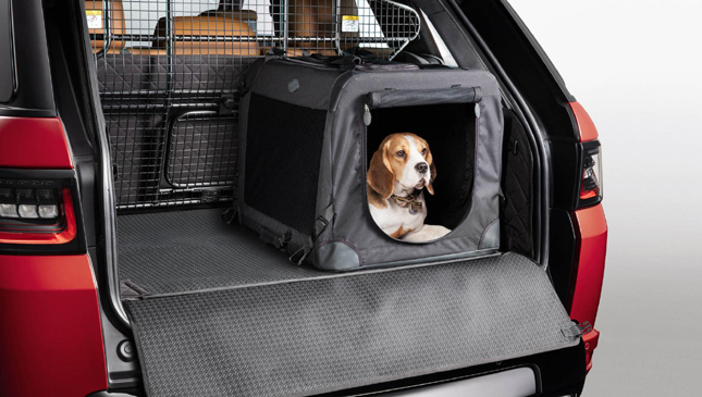 Land Rover lance des accessoires dédiés aux chiens