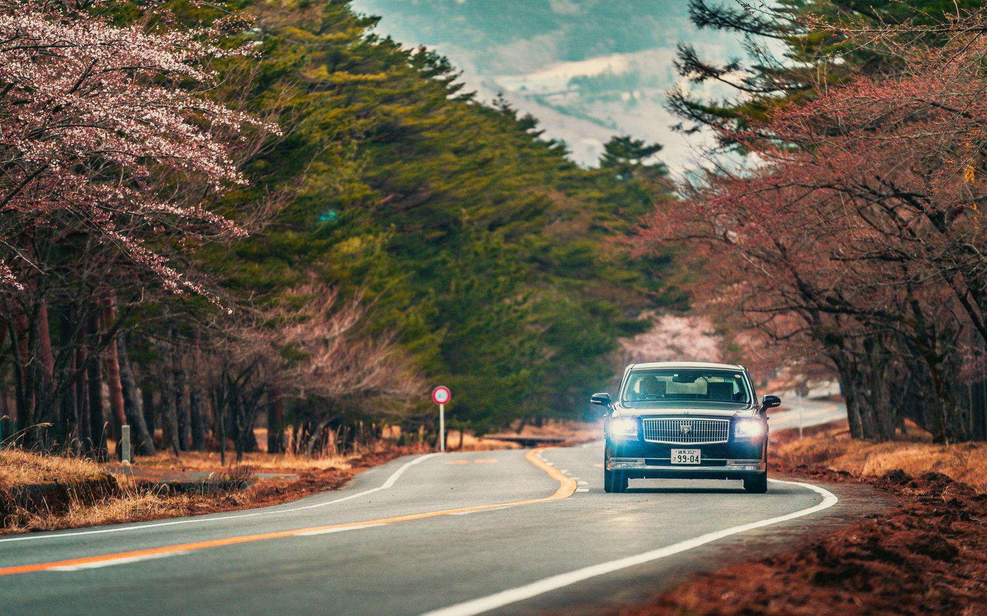 Yellow spring road in japan