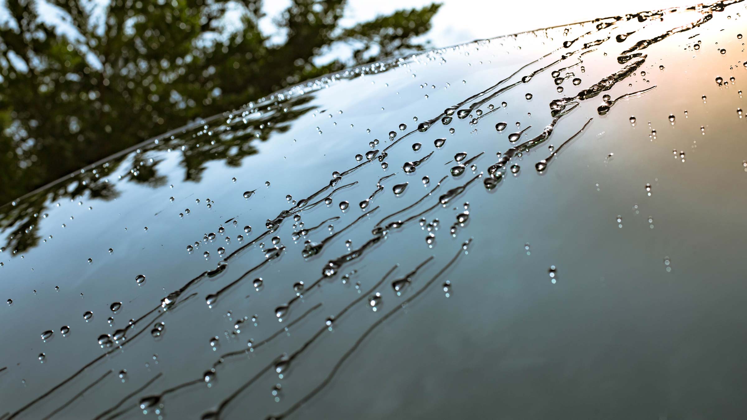 A windshield treated with windshield water repellent