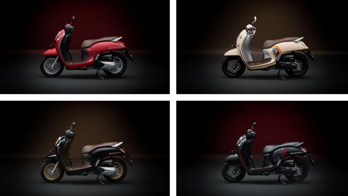 photo of the honda scoopy in different colors