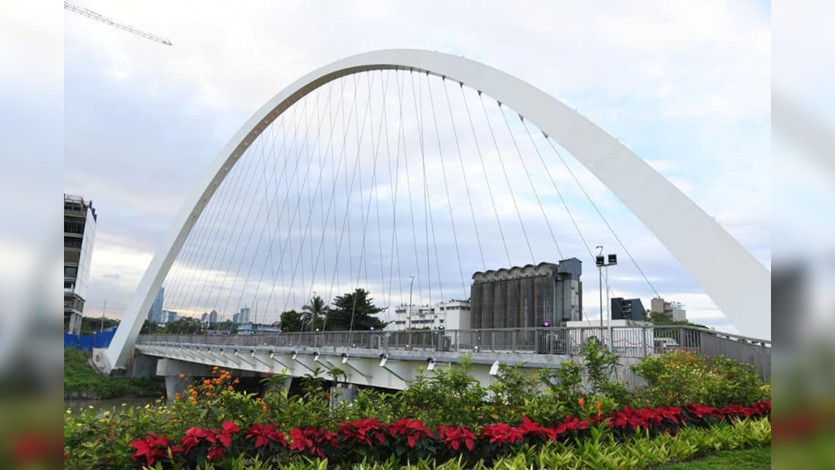 Photo of Parklinks Bridge connecting Quezon City and Pasig City
