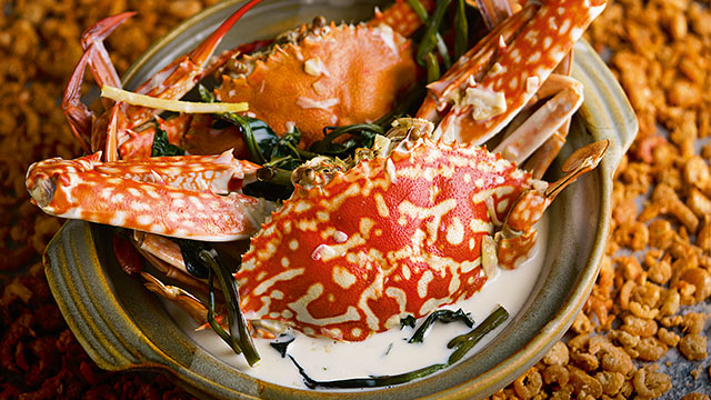 coconut milk crab recipe
