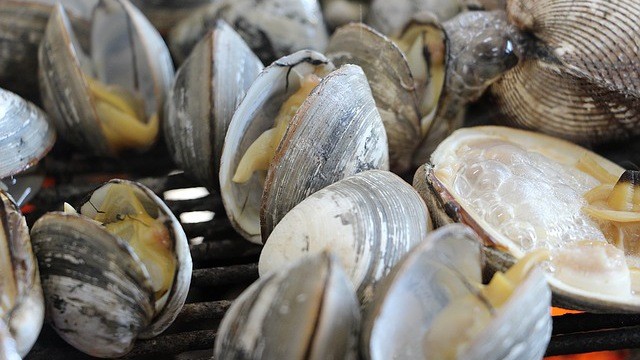 clams in the philippines