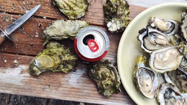 oysters in shell and shucked in a bowl with knife, chopping board and beer can