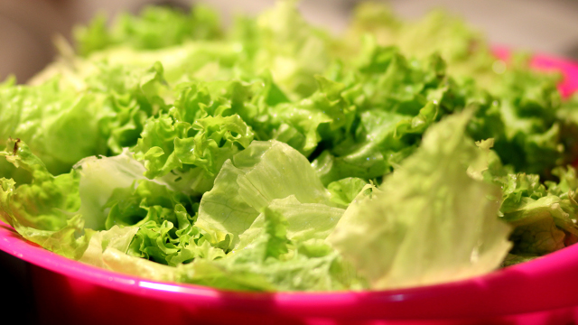 lettuce in a red bowl