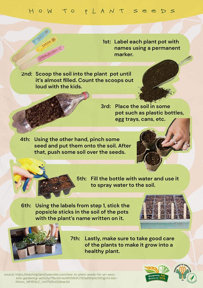 How to Plant Seeds infographic