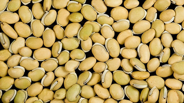 Bataw or hyacinth beans or lablab bean