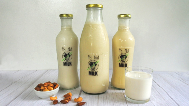 Almond milk, cashew milk, or other nut milks can be used to make maja blanca without coconut milk.