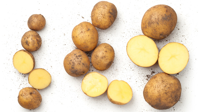 different kinds and sizes of potatoes