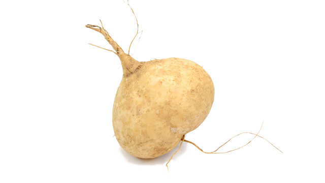 A singkamas, also known as jicama, is a type of turnip. 