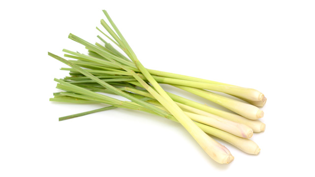 lemongrass or tanglad