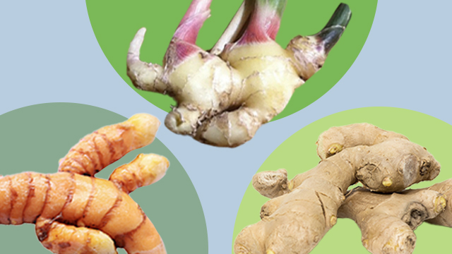 What S The Difference Ginger Vs Turmeric Vs Galangal